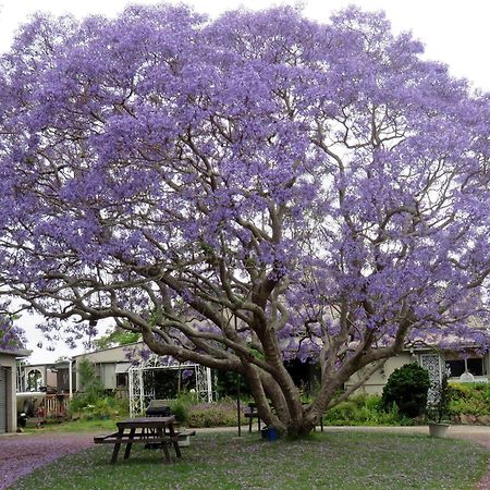 Ecotel Narooma North Narooma Ngoại thất bức ảnh