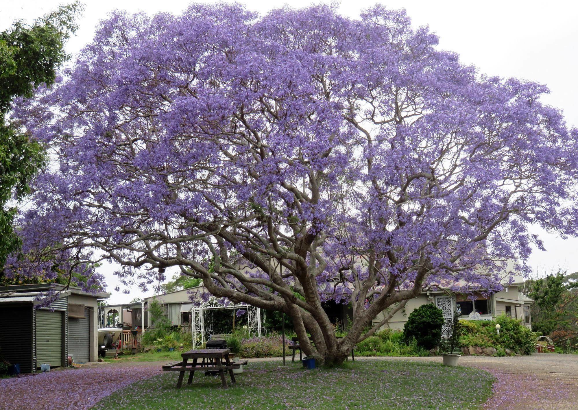 Ecotel Narooma North Narooma Ngoại thất bức ảnh
