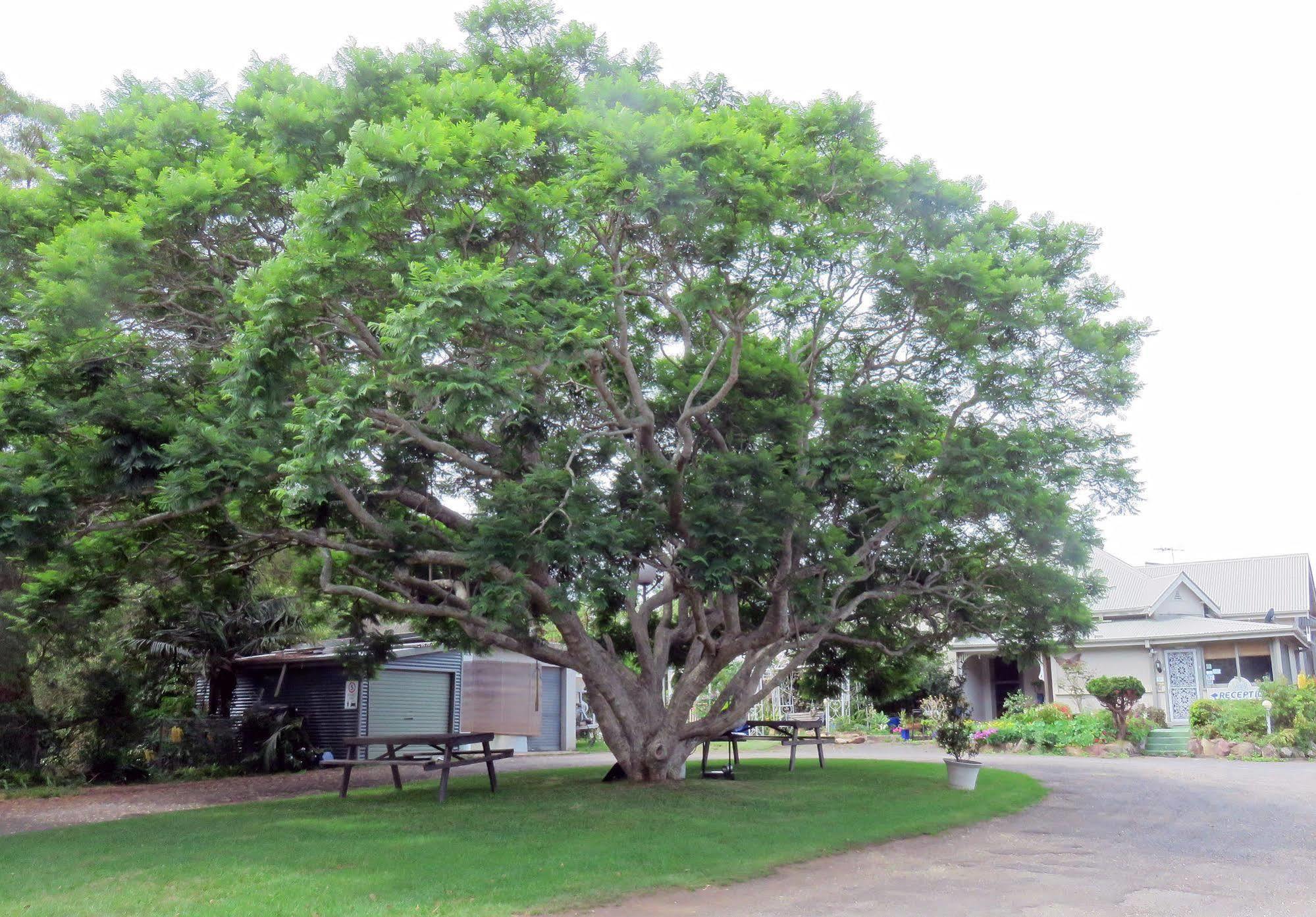 Ecotel Narooma North Narooma Ngoại thất bức ảnh